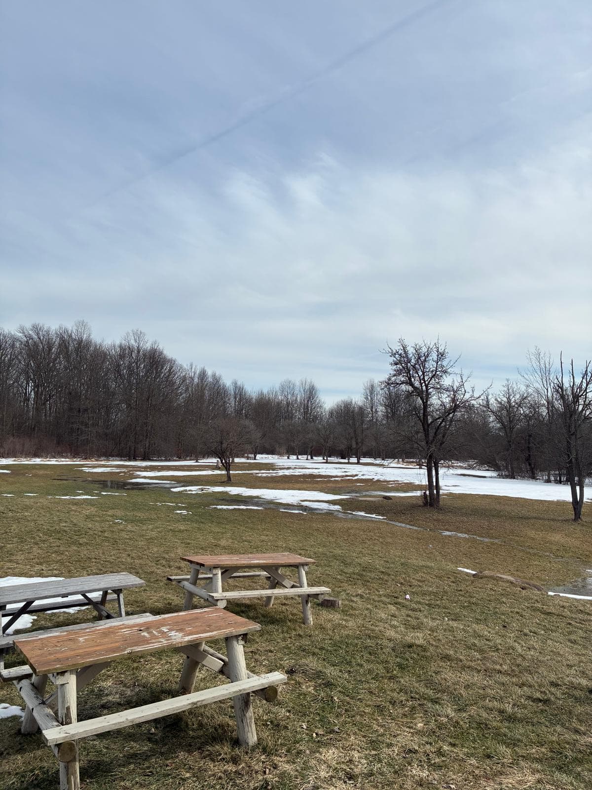 Open fields and picnic area